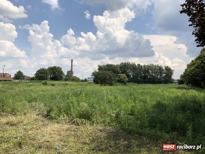 Zdjęcie w galerii na portalu naszraciborz.pl: Rusza budowa bloków przy Łąkowej. Dziś prezydent wbił pierwszą łopatę wiadomości z regionu