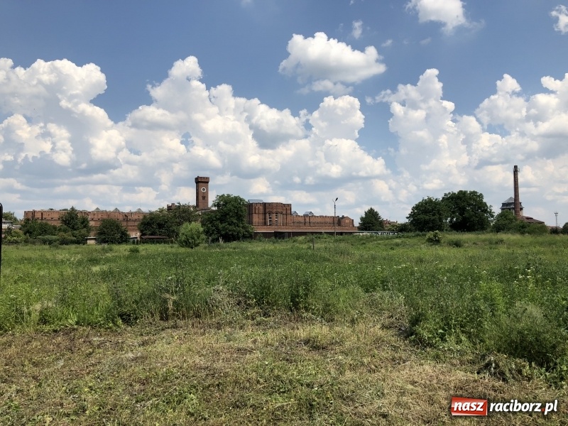 Zdjęcie w galerii na portalu naszraciborz.pl: Rusza budowa bloków przy Łąkowej. Dziś prezydent wbił pierwszą łopatę wiadomości z regionu