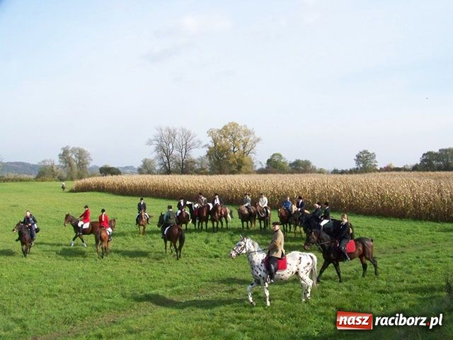 Zdjęcie w galerii na portalu naszraciborz.pl: Hubertus: W pogoni za lisią kitą wiadomości z regionu