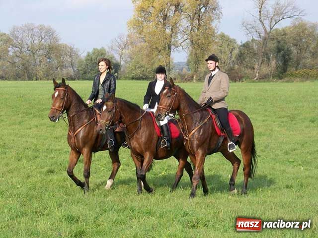 Zdjęcie w galerii na portalu naszraciborz.pl: Hubertus: W pogoni za lisią kitą wiadomości z regionu