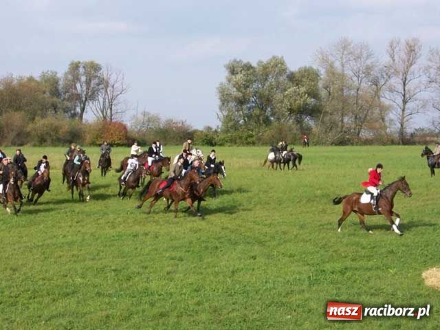 Zdjęcie w galerii na portalu naszraciborz.pl: Hubertus: W pogoni za lisią kitą wiadomości z regionu