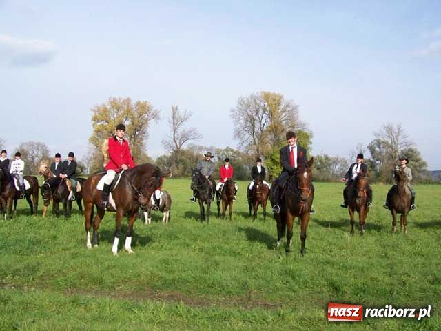 Zdjęcie w galerii na portalu naszraciborz.pl: Hubertus: W pogoni za lisią kitą wiadomości z regionu