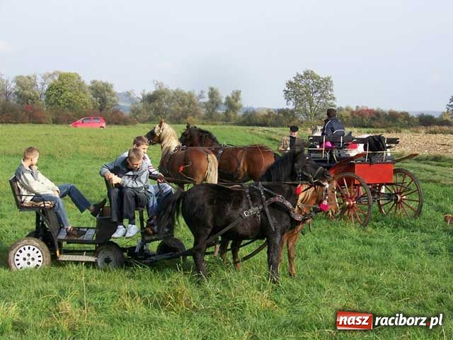 Zdjęcie w galerii na portalu naszraciborz.pl: Hubertus: W pogoni za lisią kitą wiadomości z regionu