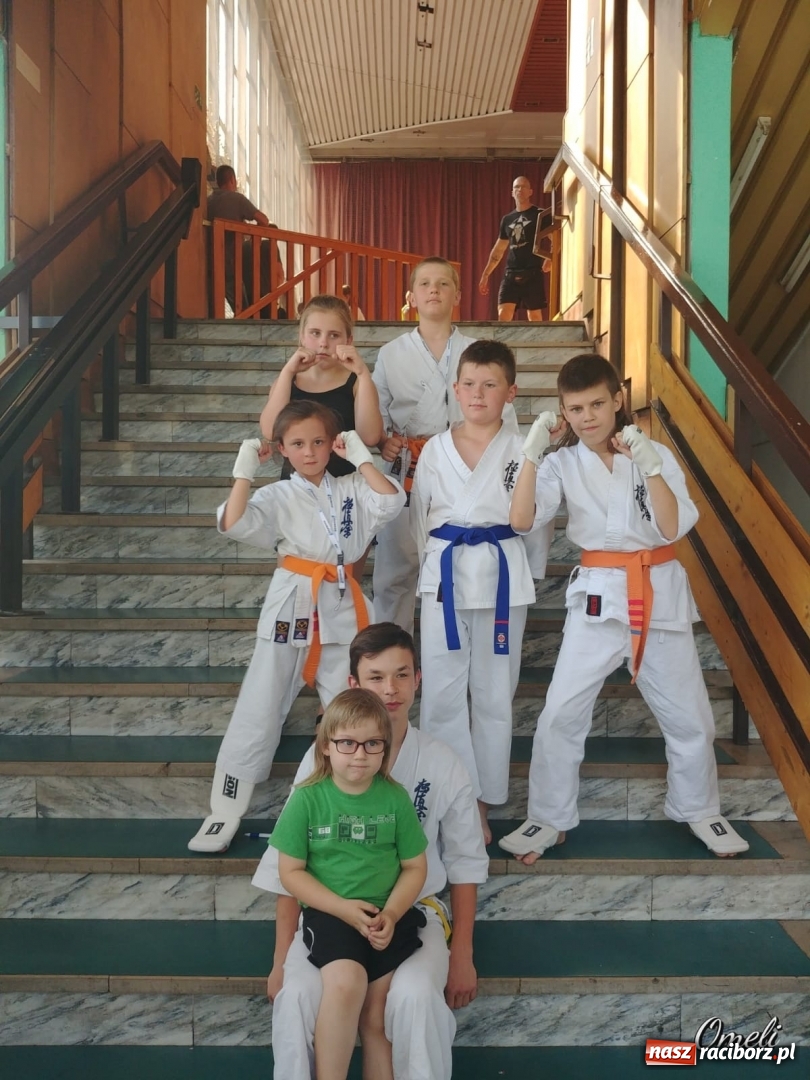 Zdjęcie w galerii na portalu naszraciborz.pl: Sukcesy raciborskiego klubu Karate Kyokushin na Pucharze Śląska wiadomości z regionu