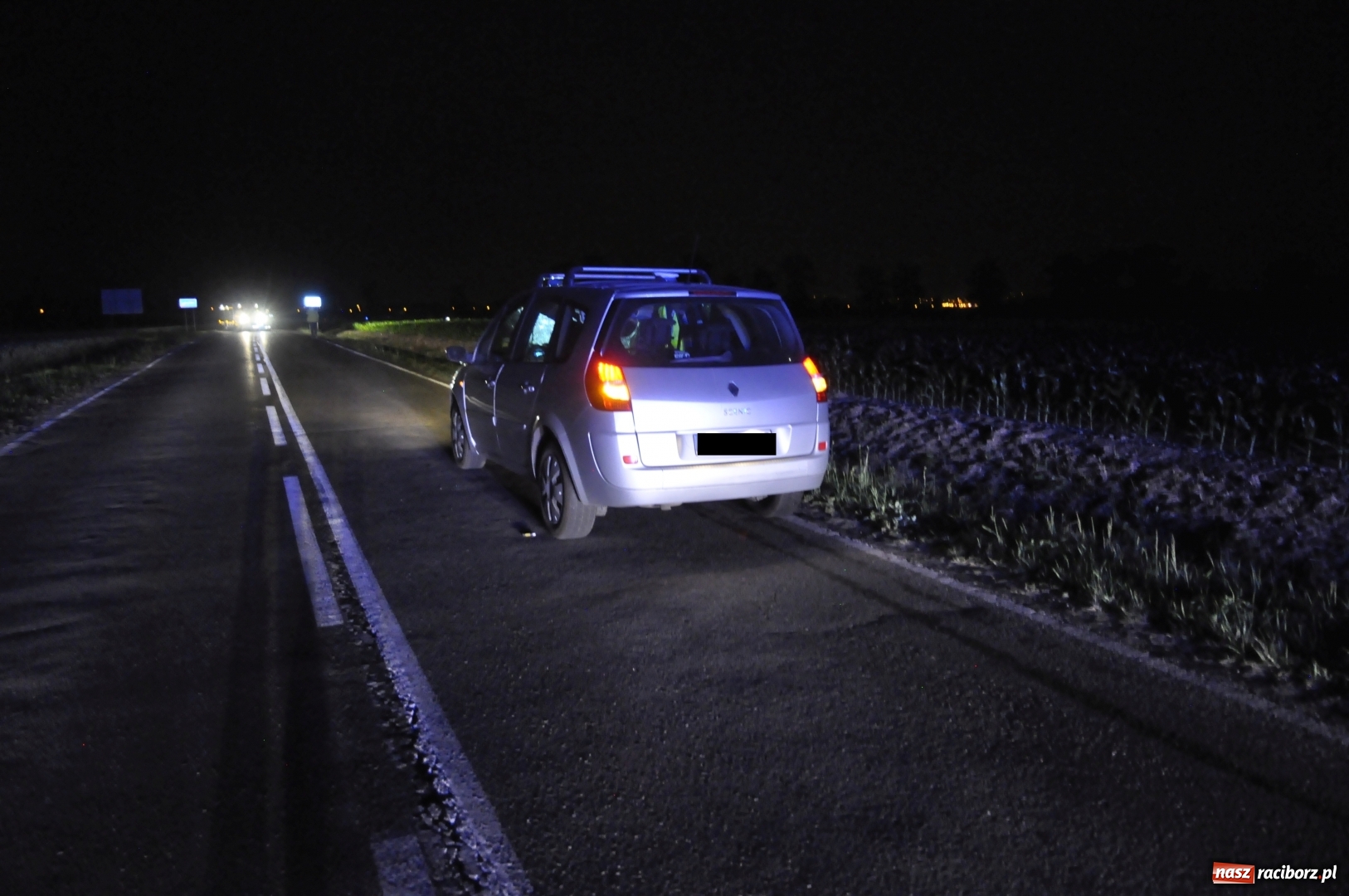 Zdjęcie w galerii na portalu naszraciborz.pl: Tragedia na DW 916 Racibórz-Pietraszyn. Nie żyje dwóch rowerzystów. Dwóch w szpitalu wiadomości z regionu