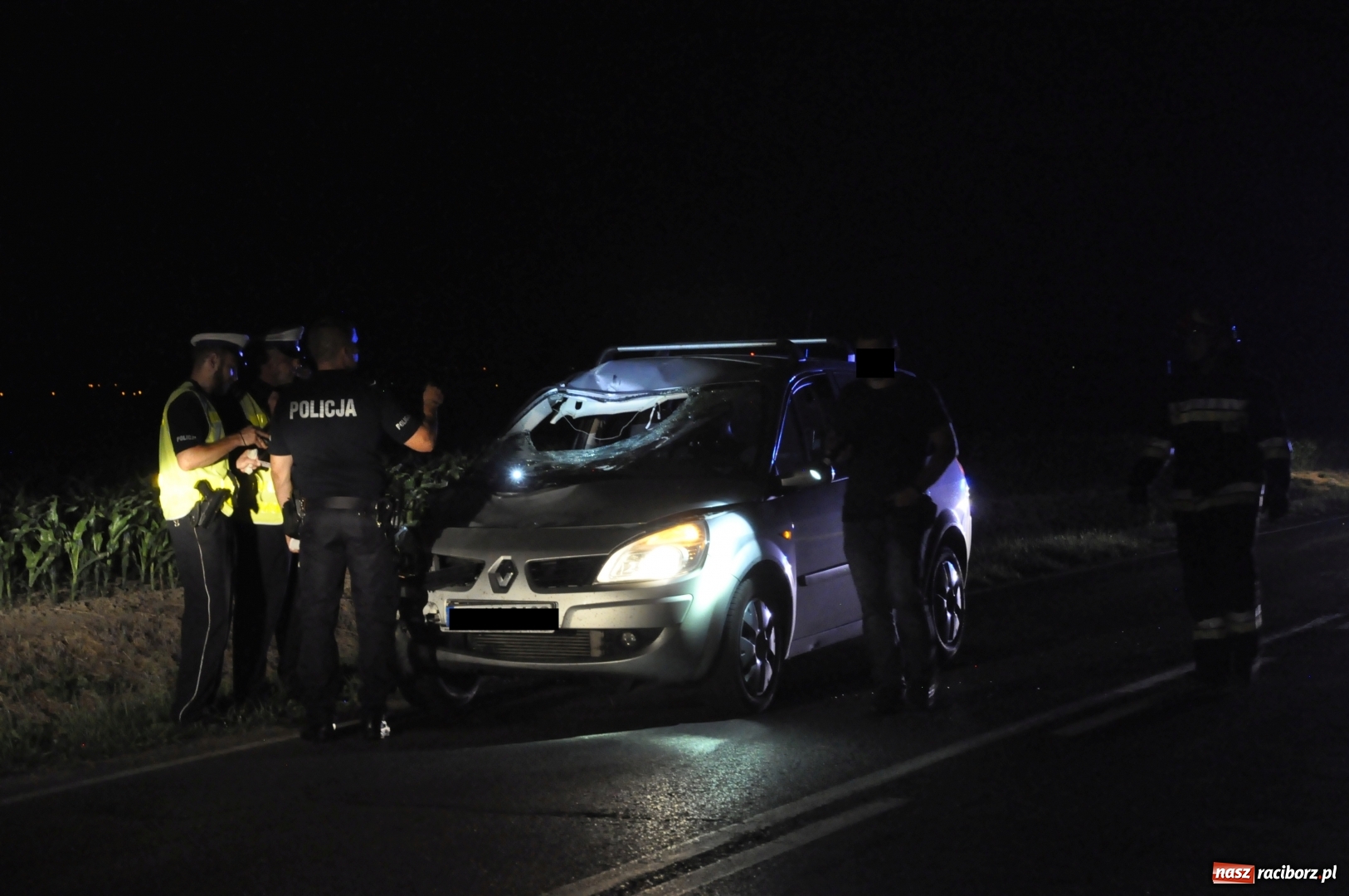 Zdjęcie w galerii na portalu naszraciborz.pl: Tragedia na DW 916 Racibórz-Pietraszyn. Nie żyje dwóch rowerzystów. Dwóch w szpitalu wiadomości z regionu