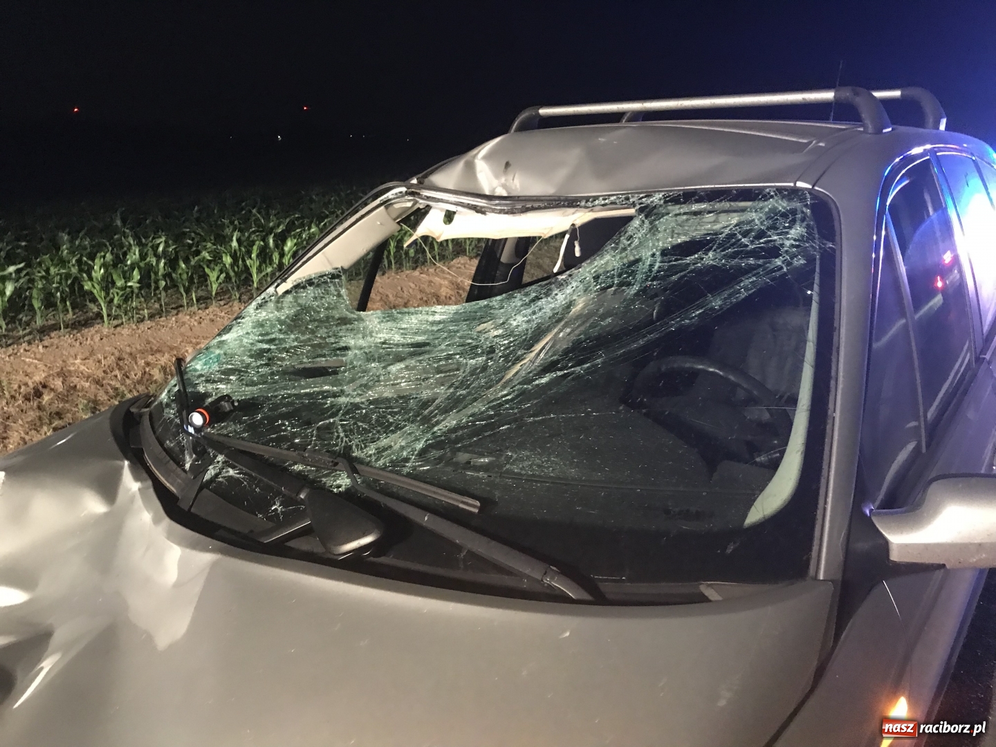 Zdjęcie w galerii na portalu naszraciborz.pl: Tragedia na DW 916 Racibórz-Pietraszyn. Nie żyje dwóch rowerzystów. Dwóch w szpitalu wiadomości z regionu