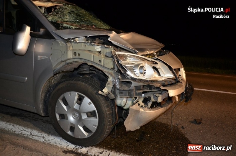 Zdjęcie w galerii na portalu naszraciborz.pl: Tragedia na DW 916 Racibórz-Pietraszyn. Nie żyje dwóch rowerzystów. Dwóch w szpitalu wiadomości z regionu