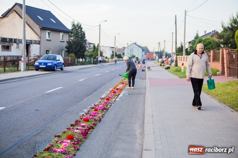 Zdjęcie w galerii na portalu naszraciborz.pl: Od rana cała Raciborszczyzna szykuje się na Boże Ciało  wiadomości z regionu