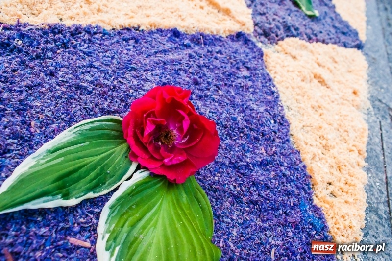 Zdjęcie w galerii na portalu naszraciborz.pl: Od rana cała Raciborszczyzna szykuje się na Boże Ciało  wiadomości z regionu