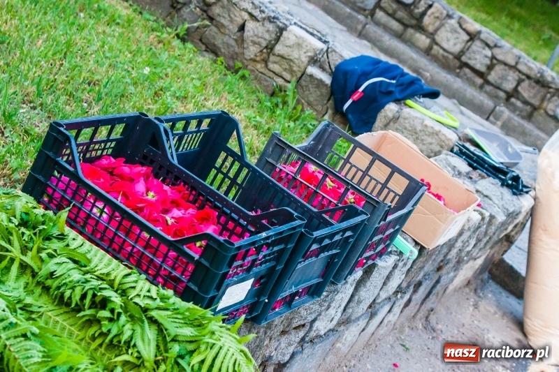 Zdjęcie w galerii na portalu naszraciborz.pl: Od rana cała Raciborszczyzna szykuje się na Boże Ciało  wiadomości z regionu