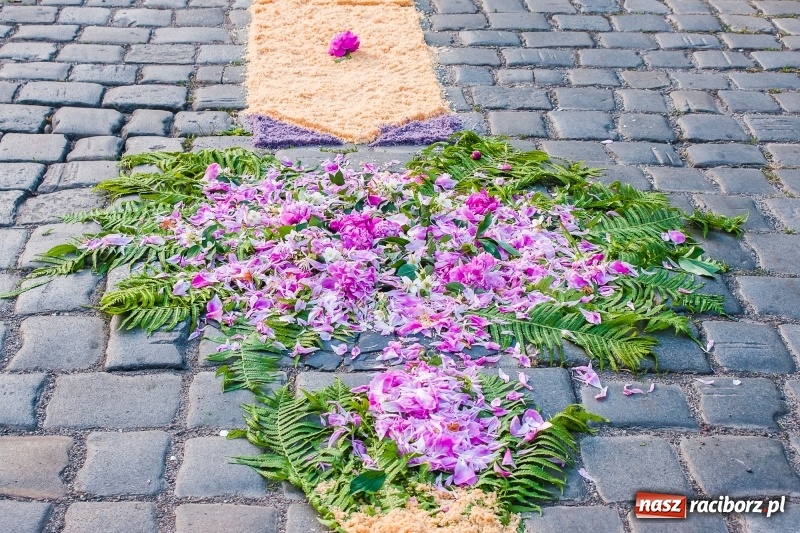 Zdjęcie w galerii na portalu naszraciborz.pl: Od rana cała Raciborszczyzna szykuje się na Boże Ciało  wiadomości z regionu