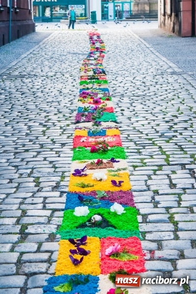 Zdjęcie w galerii na portalu naszraciborz.pl: Od rana cała Raciborszczyzna szykuje się na Boże Ciało  wiadomości z regionu