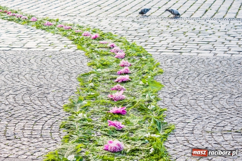 Zdjęcie w galerii na portalu naszraciborz.pl: Od rana cała Raciborszczyzna szykuje się na Boże Ciało  wiadomości z regionu