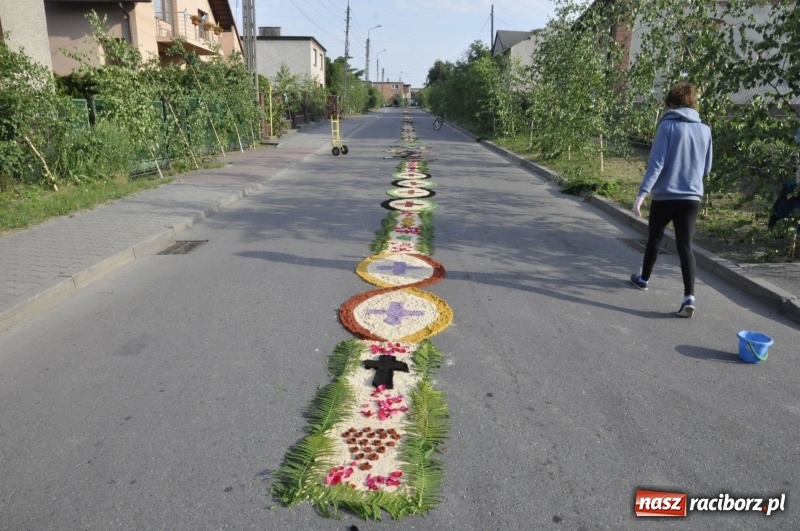 Zdjęcie w galerii na portalu naszraciborz.pl: Od rana cała Raciborszczyzna szykuje się na Boże Ciało  wiadomości z regionu