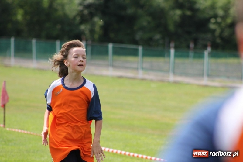 Zdjęcie w galerii na portalu naszraciborz.pl: Młodzieżowe drużyny palanta z Cyprzanowa i Wojnowic szlifują formę  wiadomości z regionu