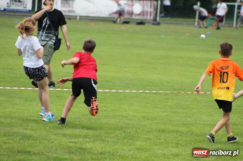 Zdjęcie w galerii na portalu naszraciborz.pl: Młodzieżowe drużyny palanta z Cyprzanowa i Wojnowic szlifują formę  wiadomości z regionu