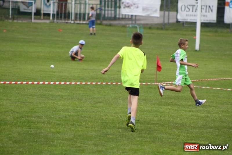 Zdjęcie w galerii na portalu naszraciborz.pl: Młodzieżowe drużyny palanta z Cyprzanowa i Wojnowic szlifują formę  wiadomości z regionu