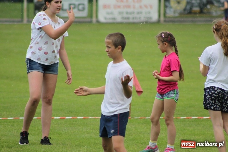 Zdjęcie w galerii na portalu naszraciborz.pl: Młodzieżowe drużyny palanta z Cyprzanowa i Wojnowic szlifują formę  wiadomości z regionu