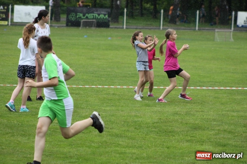 Zdjęcie w galerii na portalu naszraciborz.pl: Młodzieżowe drużyny palanta z Cyprzanowa i Wojnowic szlifują formę  wiadomości z regionu