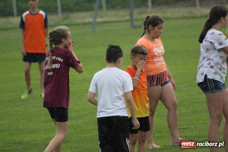 Zdjęcie w galerii na portalu naszraciborz.pl: Młodzieżowe drużyny palanta z Cyprzanowa i Wojnowic szlifują formę  wiadomości z regionu