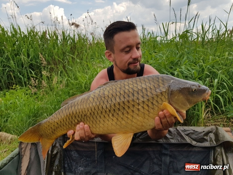 Zdjęcie w galerii na portalu naszraciborz.pl: Na Babiczoku łowili ponad 20-kilogramowe okazy wiadomości z regionu
