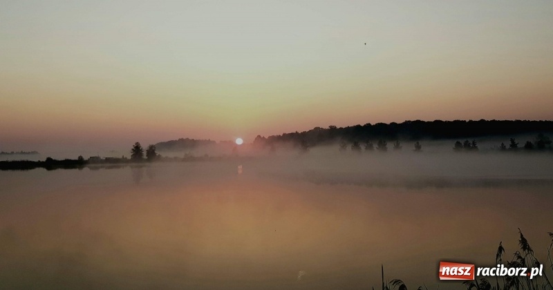 Zdjęcie w galerii na portalu naszraciborz.pl: Na Babiczoku łowili ponad 20-kilogramowe okazy wiadomości z regionu