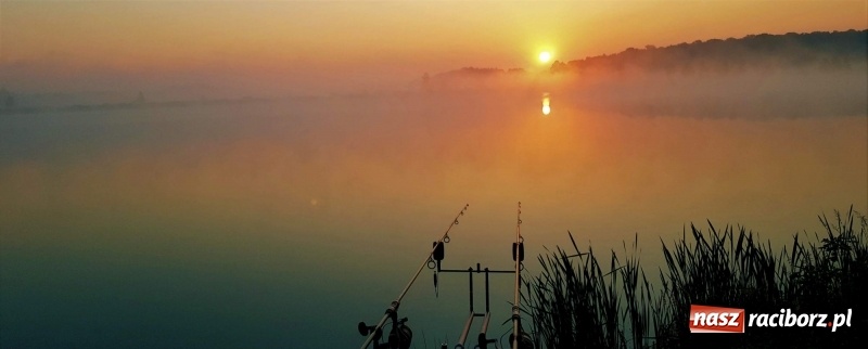 Zdjęcie w galerii na portalu naszraciborz.pl: Na Babiczoku łowili ponad 20-kilogramowe okazy wiadomości z regionu