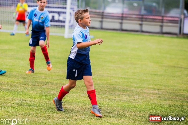 Zdjęcie w galerii na portalu naszraciborz.pl: Turniej piłkarski Orlik Cup w Nędzy wiadomości z regionu