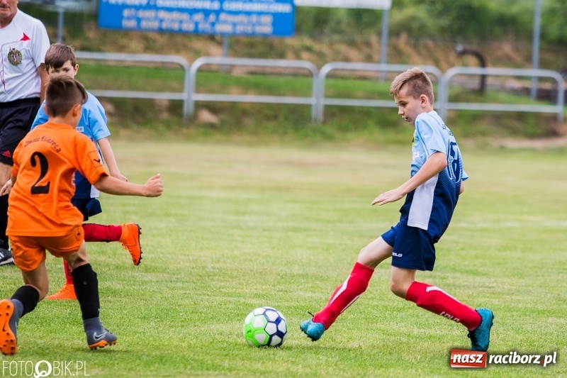 Zdjęcie w galerii na portalu naszraciborz.pl: Turniej piłkarski Orlik Cup w Nędzy wiadomości z regionu