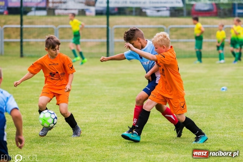 Zdjęcie w galerii na portalu naszraciborz.pl: Turniej piłkarski Orlik Cup w Nędzy wiadomości z regionu