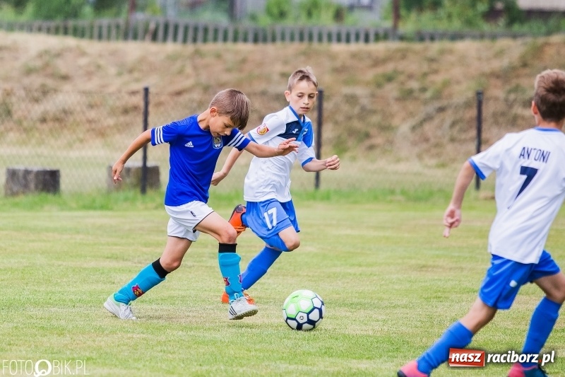Zdjęcie w galerii na portalu naszraciborz.pl: Turniej piłkarski Orlik Cup w Nędzy wiadomości z regionu