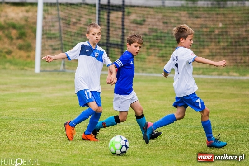 Zdjęcie w galerii na portalu naszraciborz.pl: Turniej piłkarski Orlik Cup w Nędzy wiadomości z regionu