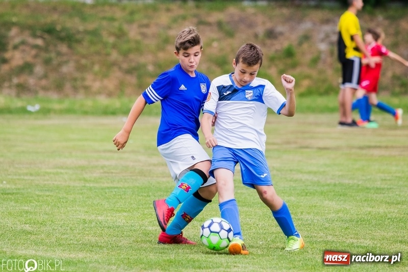Zdjęcie w galerii na portalu naszraciborz.pl: Turniej piłkarski Orlik Cup w Nędzy wiadomości z regionu
