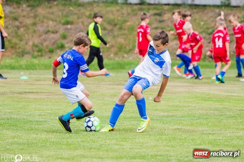 Zdjęcie w galerii na portalu naszraciborz.pl: Turniej piłkarski Orlik Cup w Nędzy wiadomości z regionu