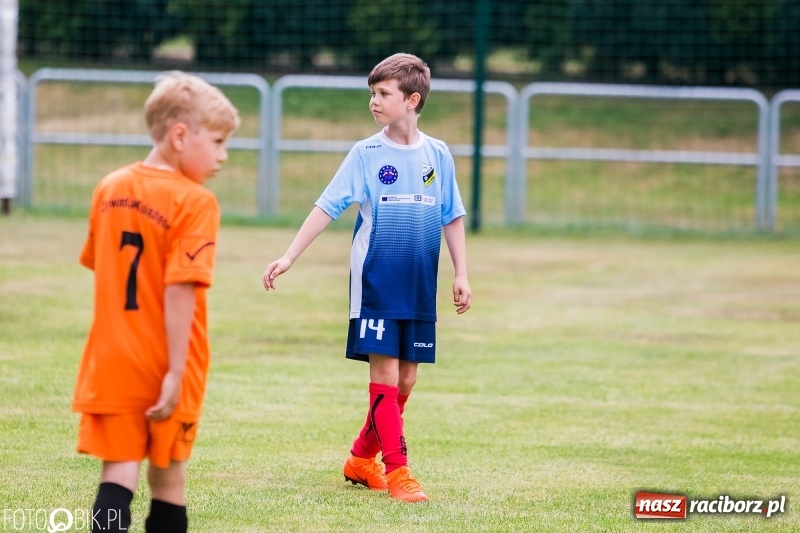 Zdjęcie w galerii na portalu naszraciborz.pl: Turniej piłkarski Orlik Cup w Nędzy wiadomości z regionu