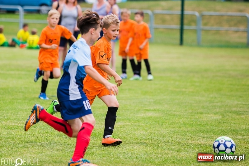 Zdjęcie w galerii na portalu naszraciborz.pl: Turniej piłkarski Orlik Cup w Nędzy wiadomości z regionu