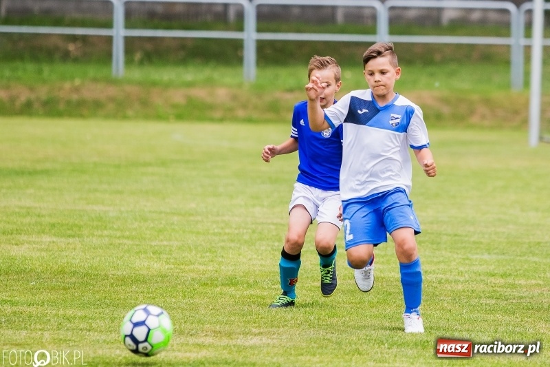 Zdjęcie w galerii na portalu naszraciborz.pl: Turniej piłkarski Orlik Cup w Nędzy wiadomości z regionu