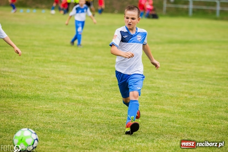 Zdjęcie w galerii na portalu naszraciborz.pl: Turniej piłkarski Orlik Cup w Nędzy wiadomości z regionu