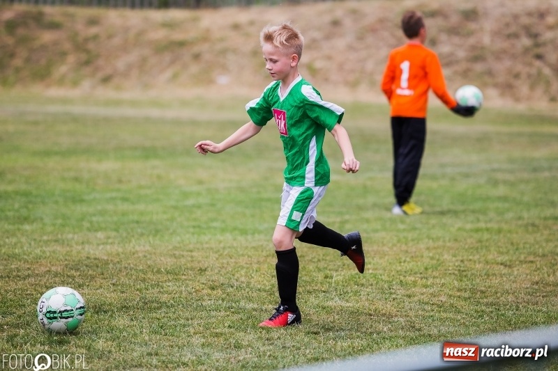 Zdjęcie w galerii na portalu naszraciborz.pl: Turniej piłkarski Orlik Cup w Nędzy wiadomości z regionu