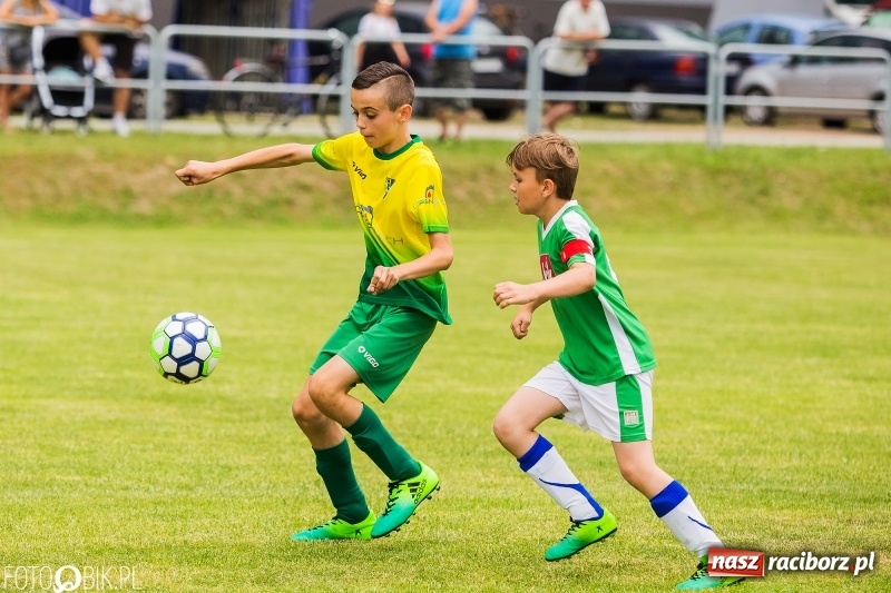Zdjęcie w galerii na portalu naszraciborz.pl: Turniej piłkarski Orlik Cup w Nędzy wiadomości z regionu