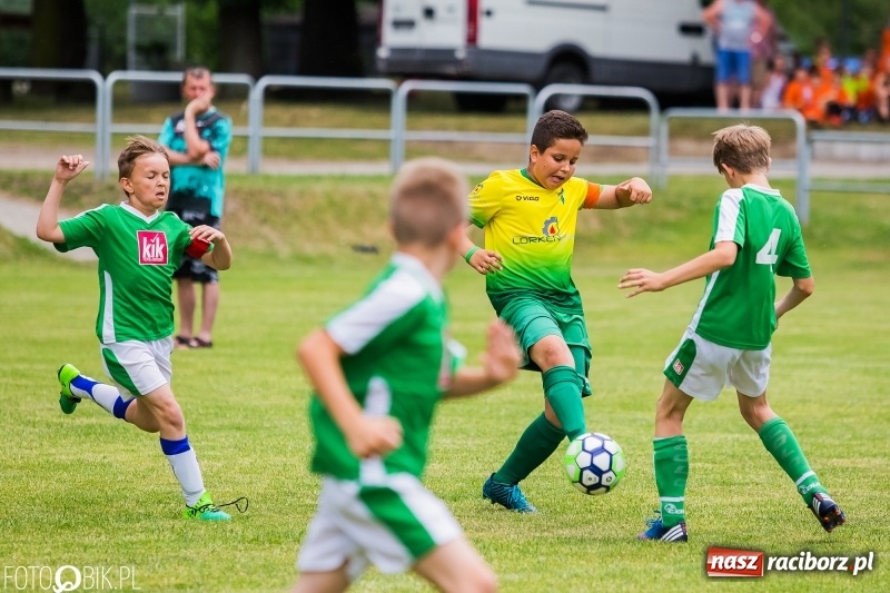 Zdjęcie w galerii na portalu naszraciborz.pl: Turniej piłkarski Orlik Cup w Nędzy wiadomości z regionu