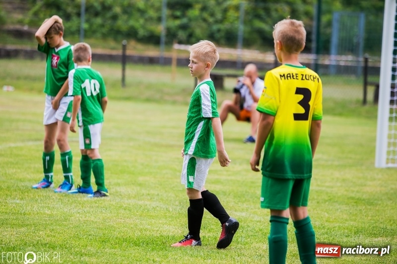 Zdjęcie w galerii na portalu naszraciborz.pl: Turniej piłkarski Orlik Cup w Nędzy wiadomości z regionu