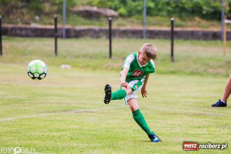 Zdjęcie w galerii na portalu naszraciborz.pl: Turniej piłkarski Orlik Cup w Nędzy wiadomości z regionu