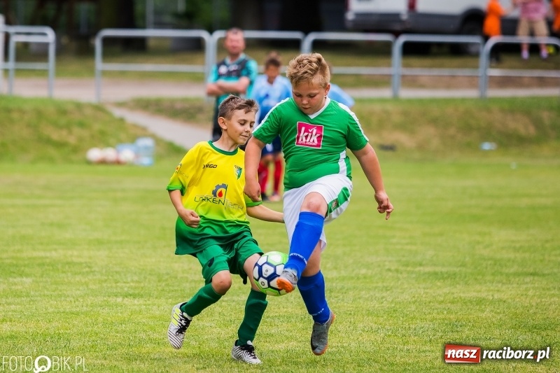 Zdjęcie w galerii na portalu naszraciborz.pl: Turniej piłkarski Orlik Cup w Nędzy wiadomości z regionu