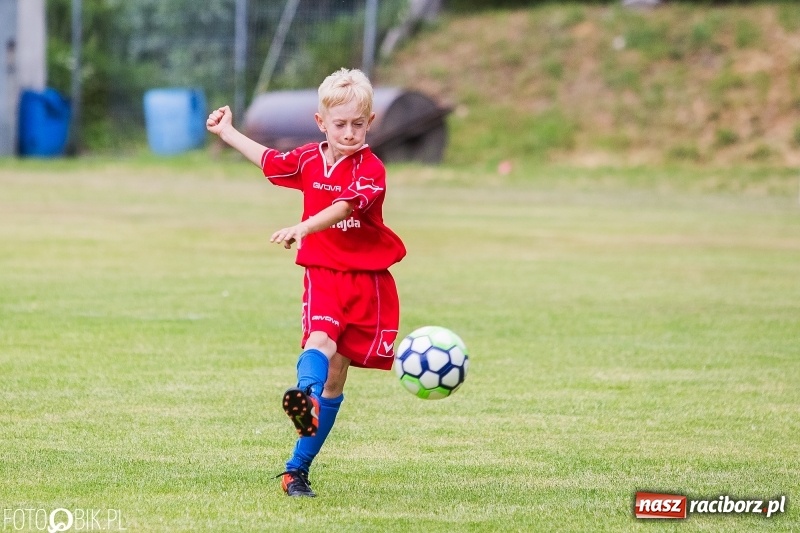 Zdjęcie w galerii na portalu naszraciborz.pl: Turniej piłkarski Orlik Cup w Nędzy wiadomości z regionu