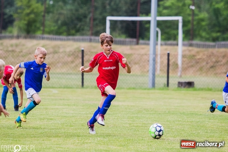 Zdjęcie w galerii na portalu naszraciborz.pl: Turniej piłkarski Orlik Cup w Nędzy wiadomości z regionu