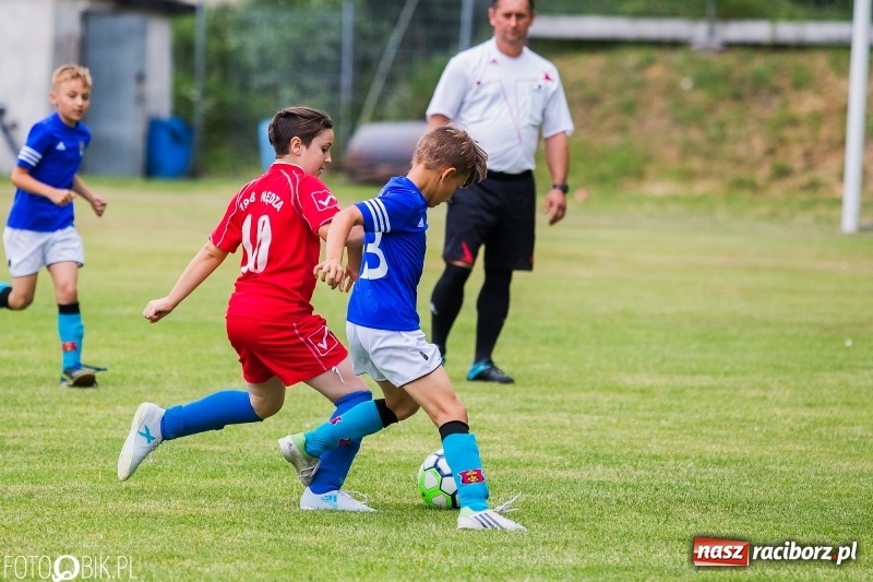 Zdjęcie w galerii na portalu naszraciborz.pl: Turniej piłkarski Orlik Cup w Nędzy wiadomości z regionu