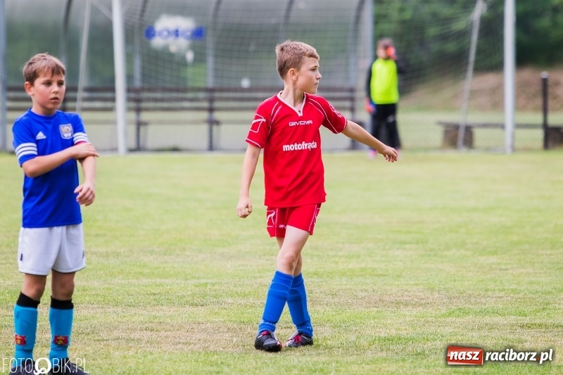 Zdjęcie w galerii na portalu naszraciborz.pl: Turniej piłkarski Orlik Cup w Nędzy wiadomości z regionu