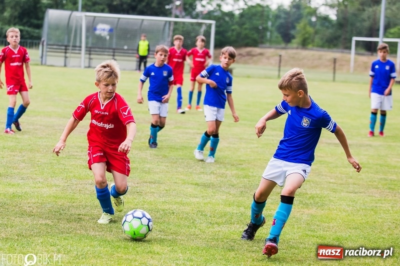 Zdjęcie w galerii na portalu naszraciborz.pl: Turniej piłkarski Orlik Cup w Nędzy wiadomości z regionu